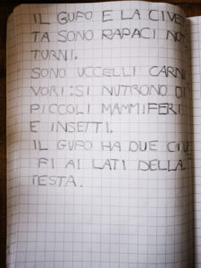 Consonante G Suono Duro GA GO GU Italiano In Prima-marzo - Maestra Anita